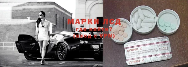 ПСИЛОЦИБИНОВЫЕ ГРИБЫ Арсеньев