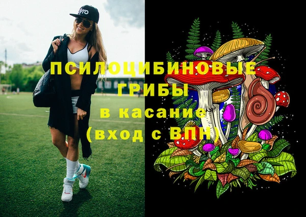 прущие крисы Аркадак